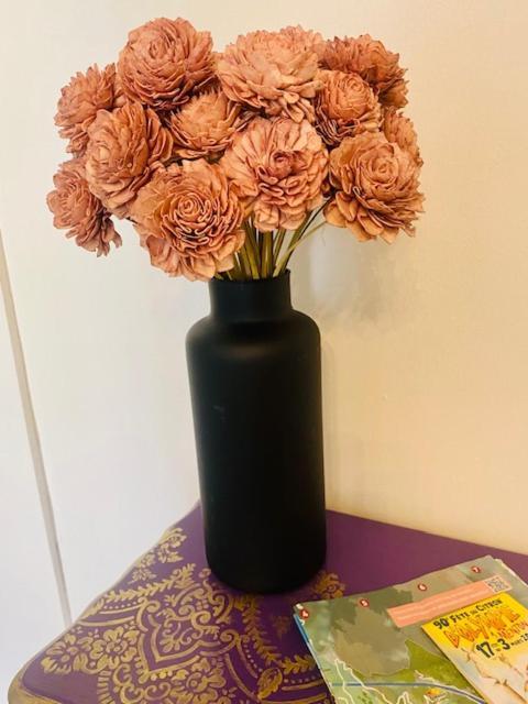 Les Fleurs Astoria Διαμέρισμα Μεντόν Εξωτερικό φωτογραφία